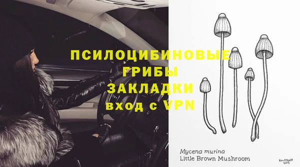 дурь Лабытнанги
