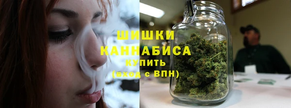 дурь Лабытнанги
