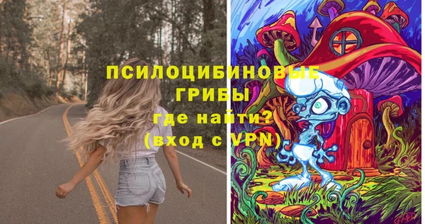 соль курить ск Ладушкин